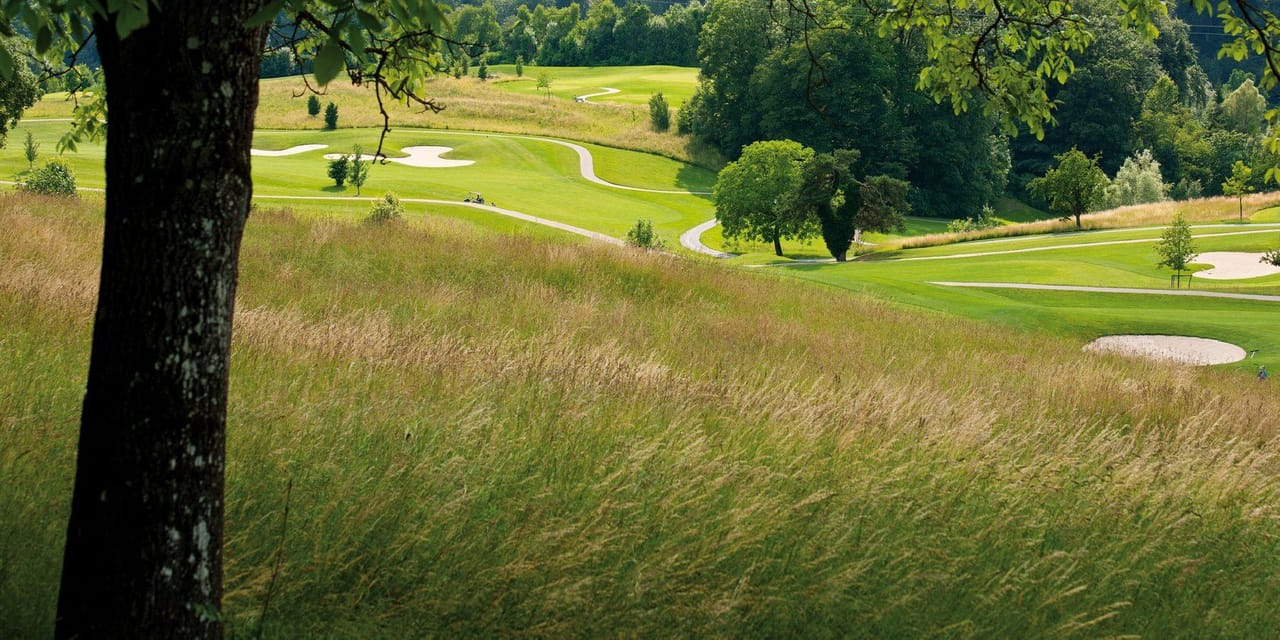 Golf Saint Apollinaire (Tree Garden)