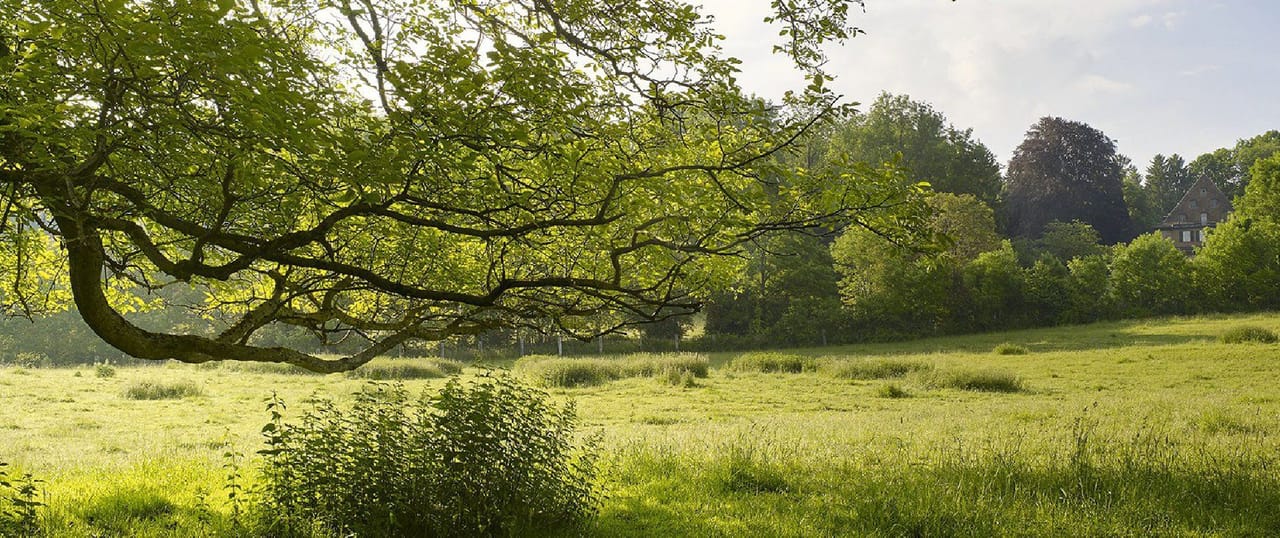 Golf Saint Apollinaire (Executive 9)