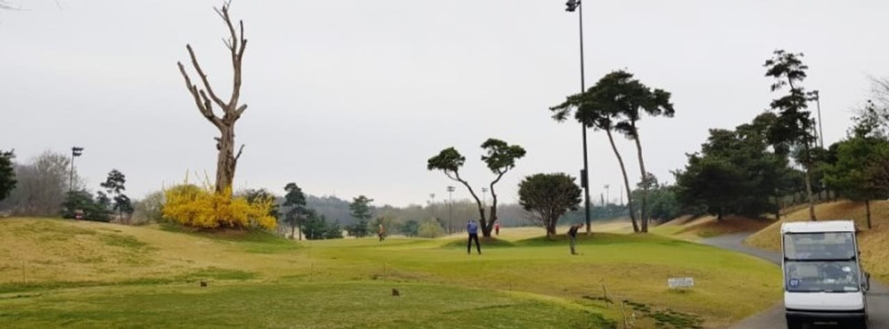 Anesville Country Club