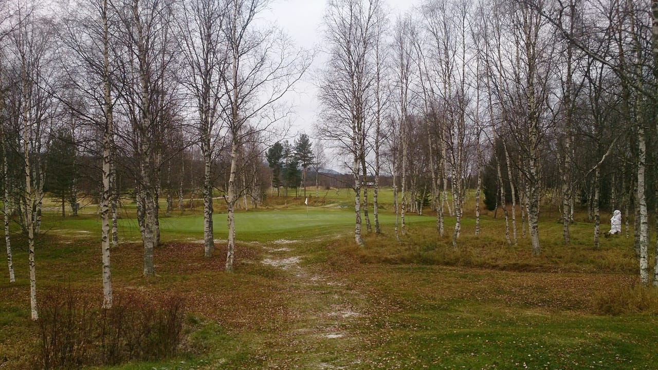 Hede-Vemdalens Golfklubb