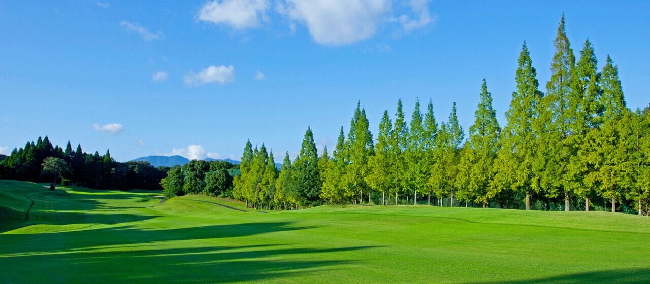 Whitin Style Golf Club