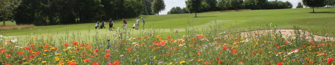 Golfclub Bad Liebenzell