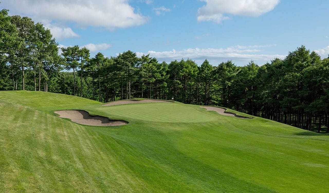 Nidom Classic Course Nispa