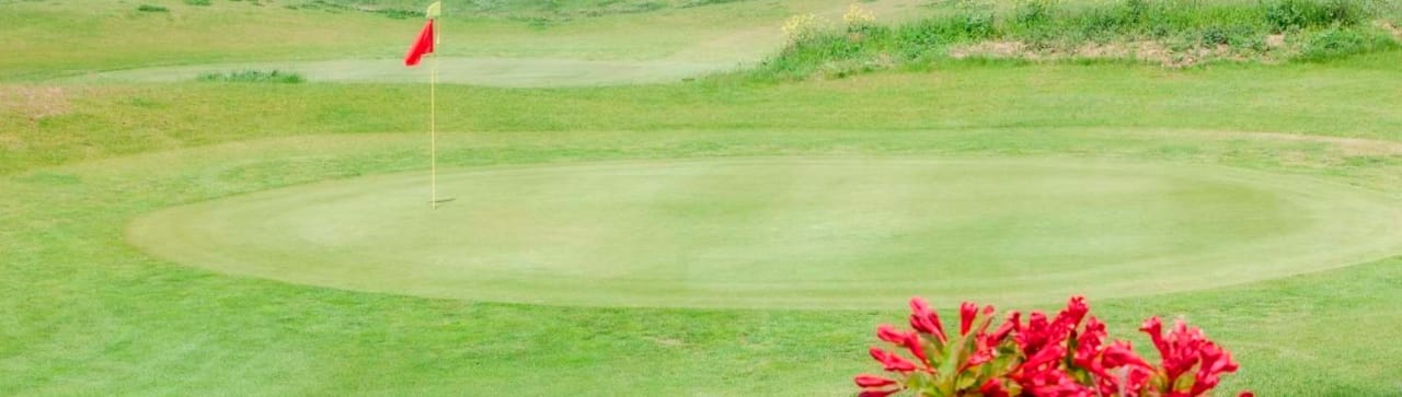 Daily Golf de Buc - Toussus Le Noble