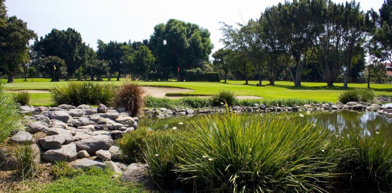 Deportivo Cocoyoc Club