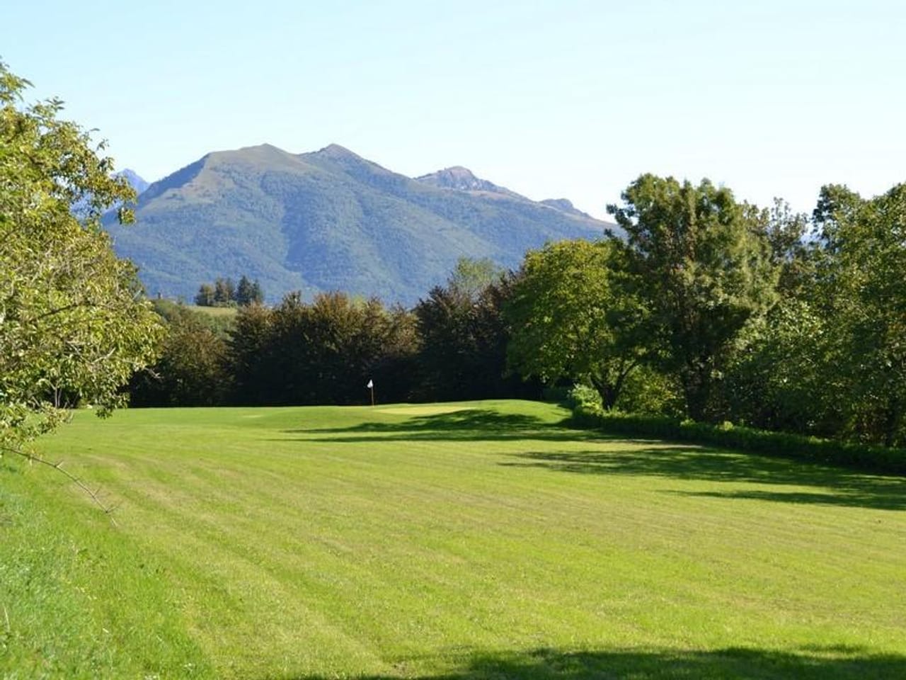 Buena Vista Social Golf