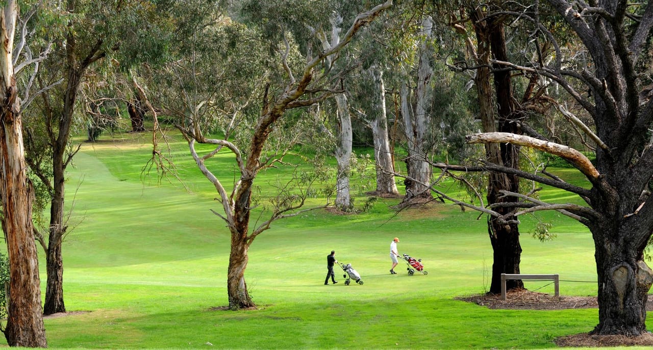 Yarra Bend Golf