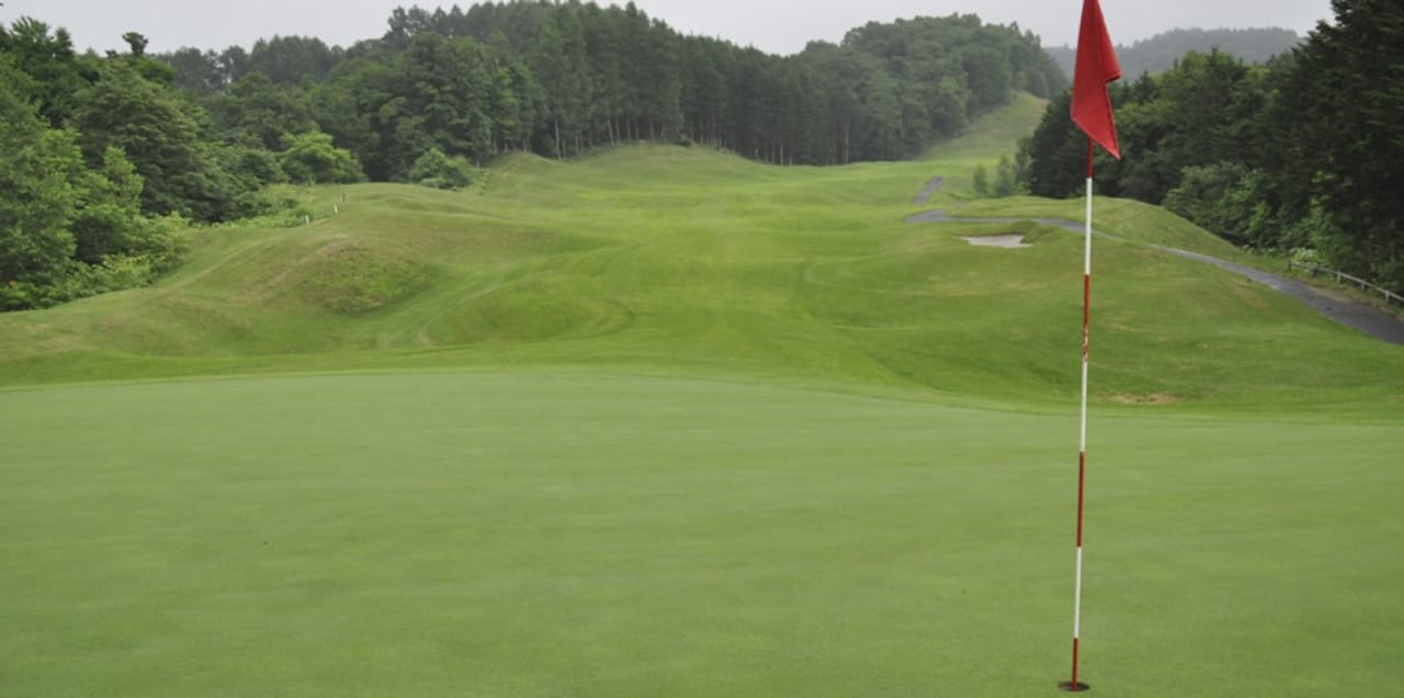 Shin Sapporo Washington Golf Club