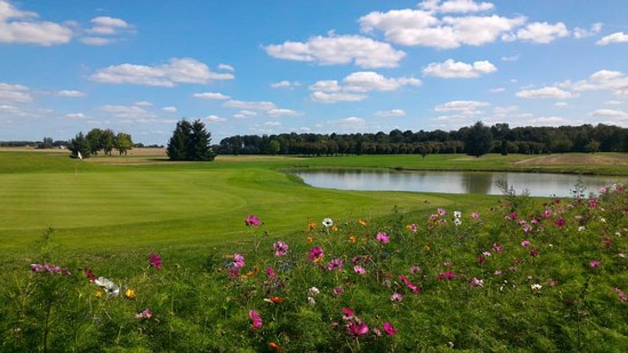 Golf de la Bosse