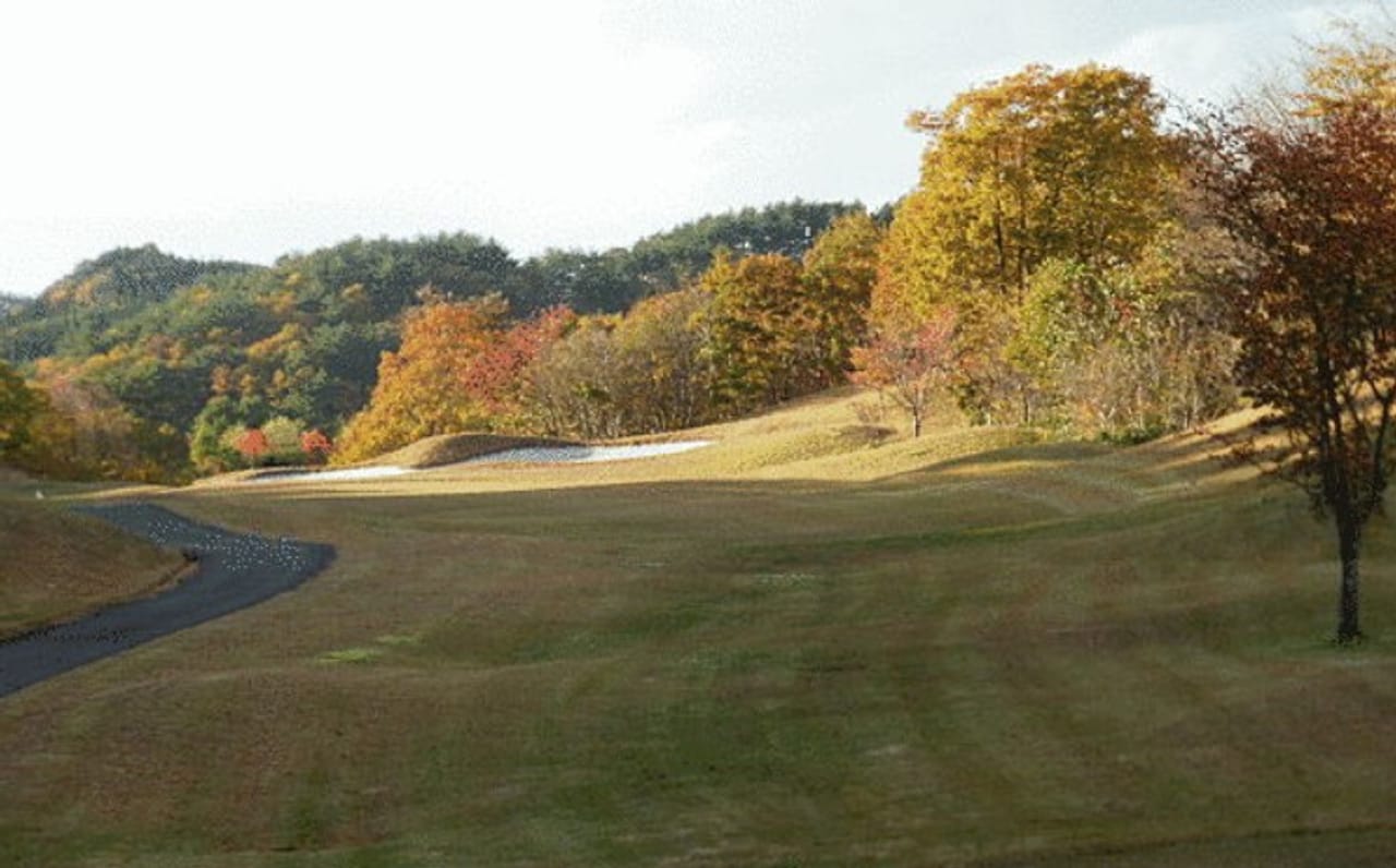 Shin Akita Wins Country Club