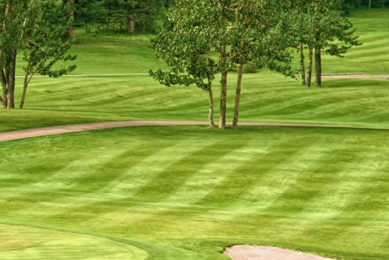 Loyal Oak Golf Course