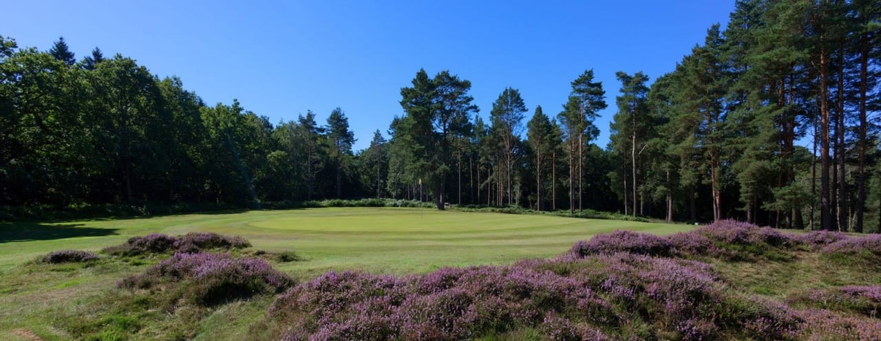 Royal Ashdown Forest Golf Club (West)