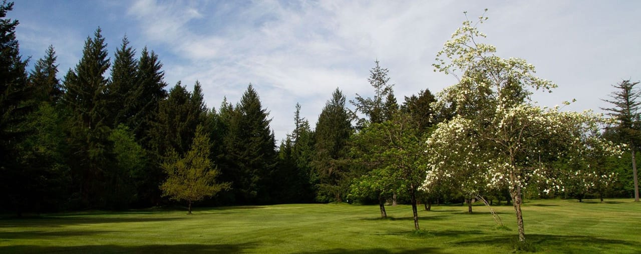 The Park Golf Course at Crown Isle