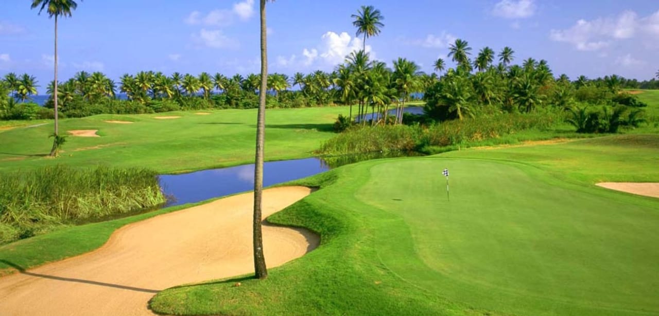 Palmas del Mar Country Club (Flamboyán)