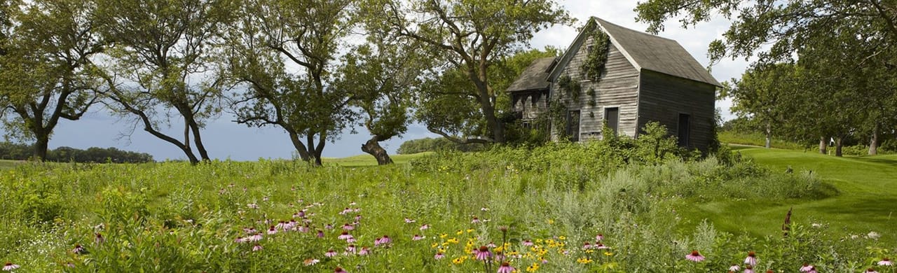 Wildflower Golf Course
