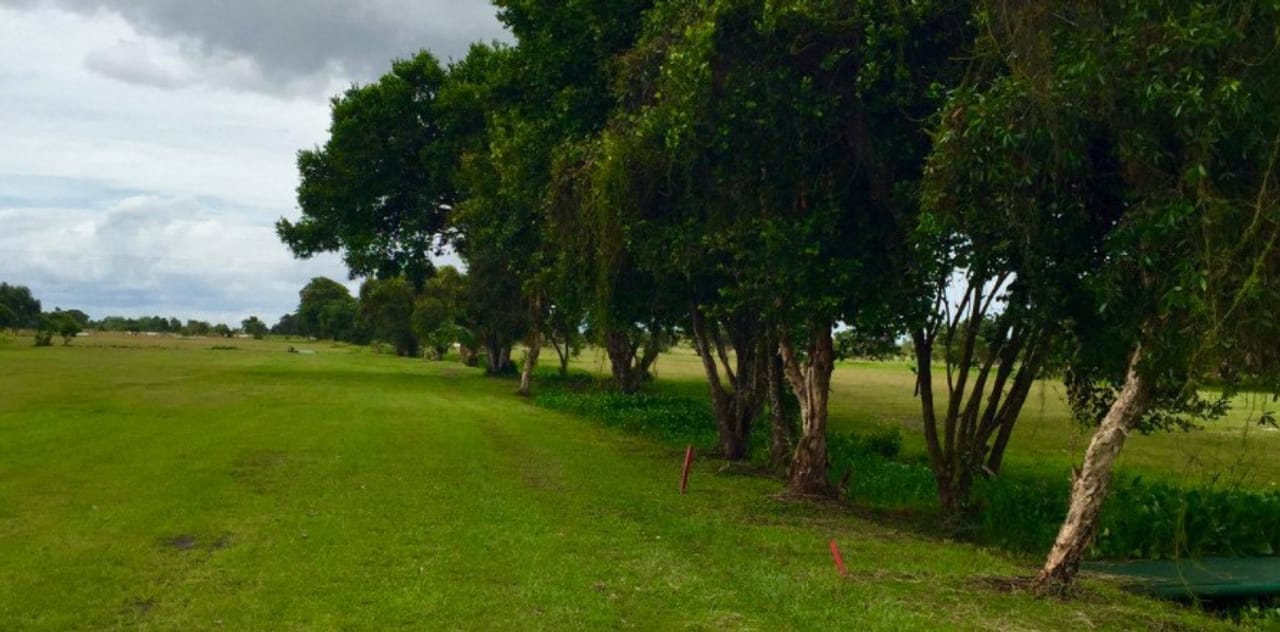 Golf Club Les Nyaoulis - Port Gentil