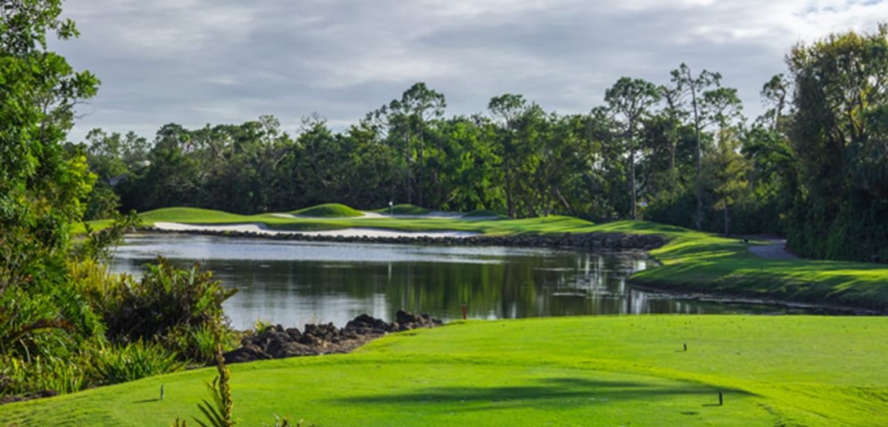 Grey Oaks Country Club (Pine)