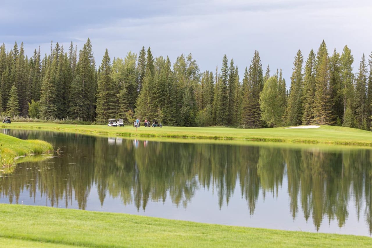 Glencoe Golf & Country Club (The Forest)
