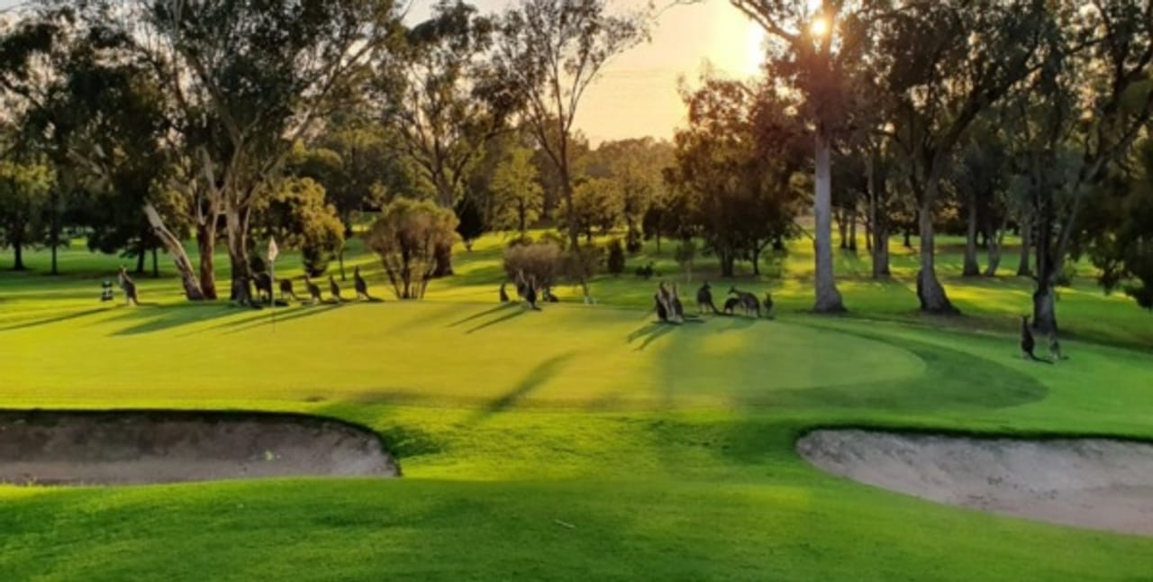 Albury Commercial Golf Course