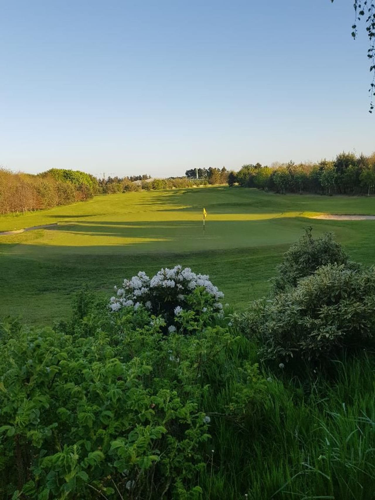 Antrim Golf Club - Allen Park