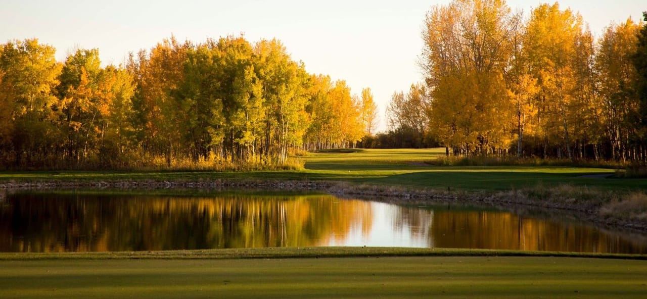 Serenity Golf Club (Dancing Bull)