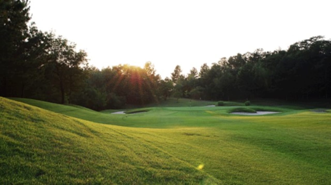 Yokawa Inter Golf Club MECHA