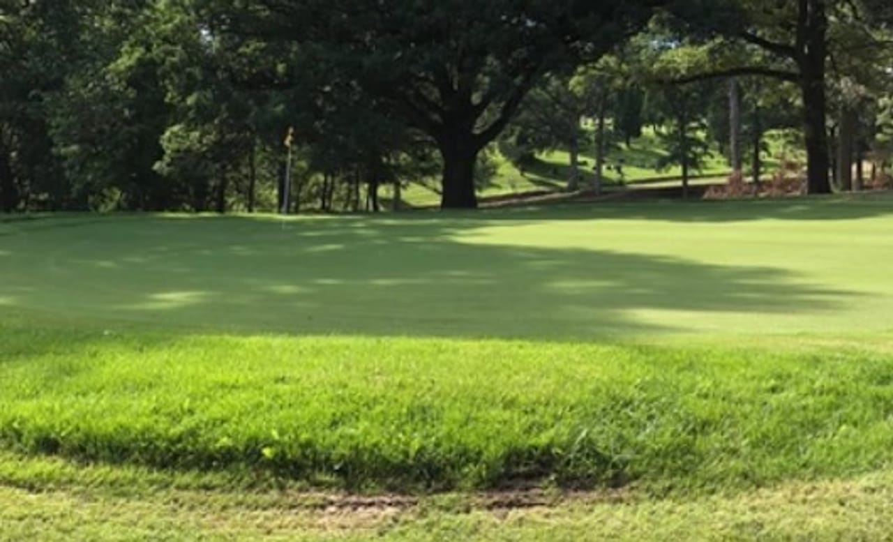 Billy Goat 9 & Dine - Birchtree Golf Course