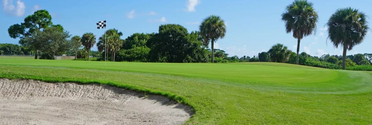 Sailfish Sands (Sailfish)