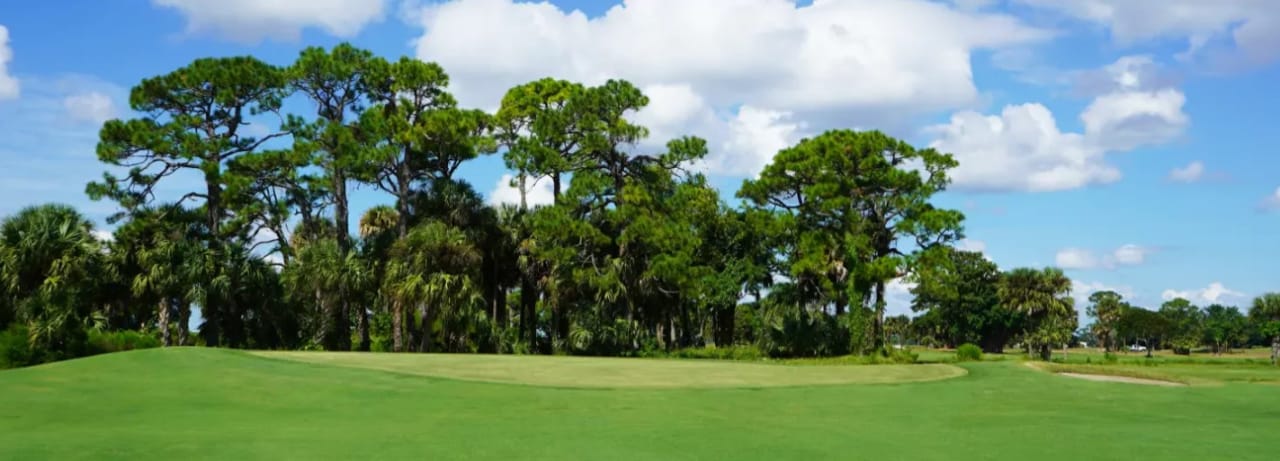 Sailfish Sands (Sands)