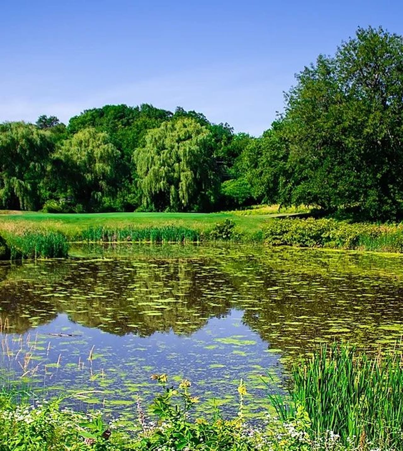 Blue Fox Run Golf Course