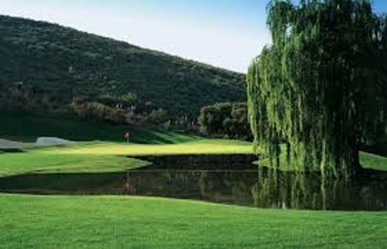Belding ゴルフバッグ Sherwood Country Club d3497a4ee17e5c4798d15176169b96