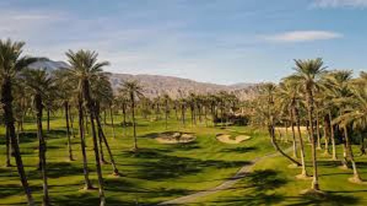 The Palms Golf Club