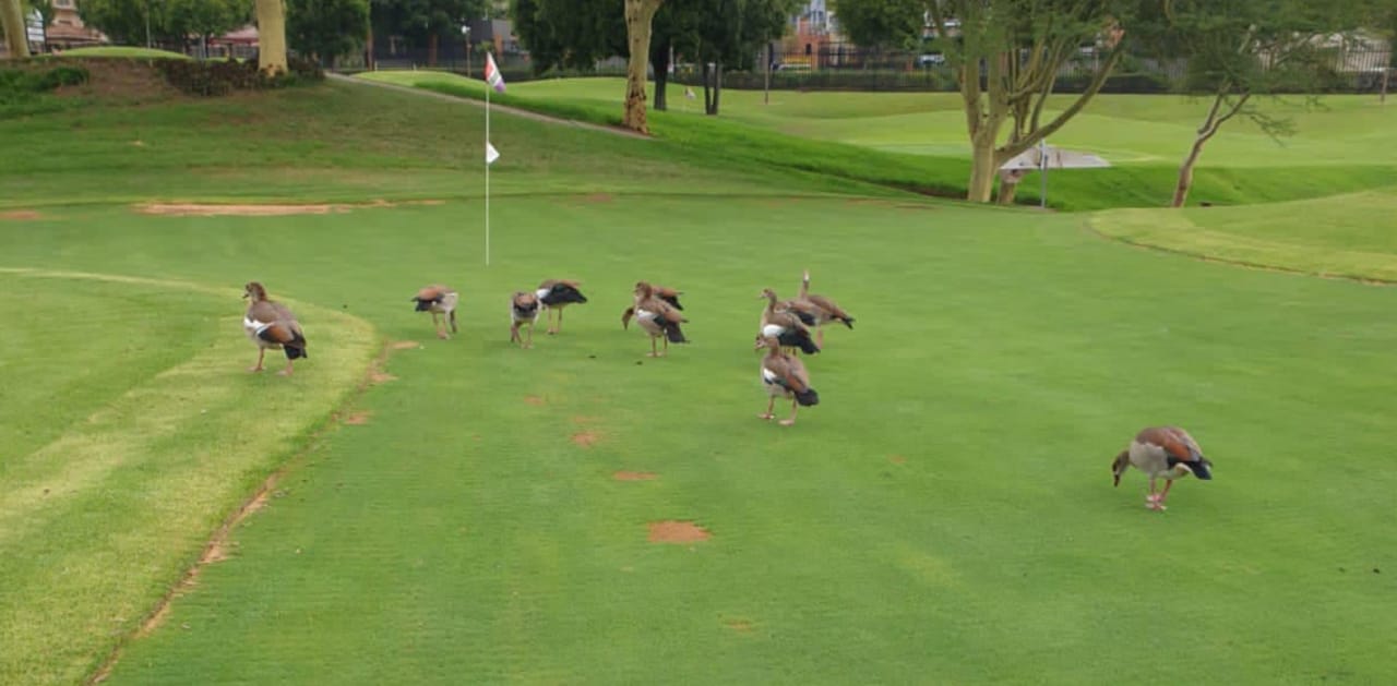 The Campus Classic Par 3