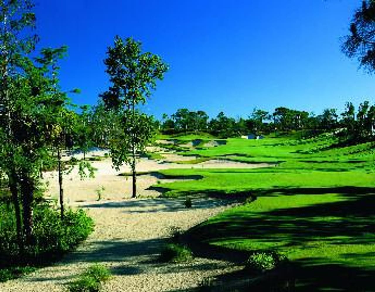 Calusa Pines Golf Club