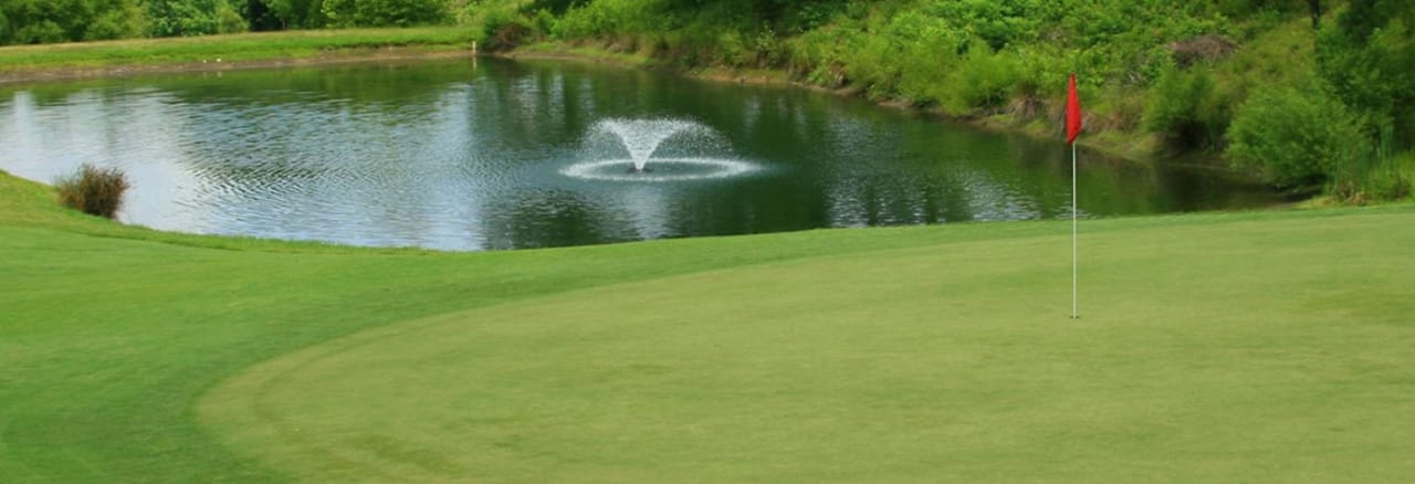 Palmetto Hills Golf Club