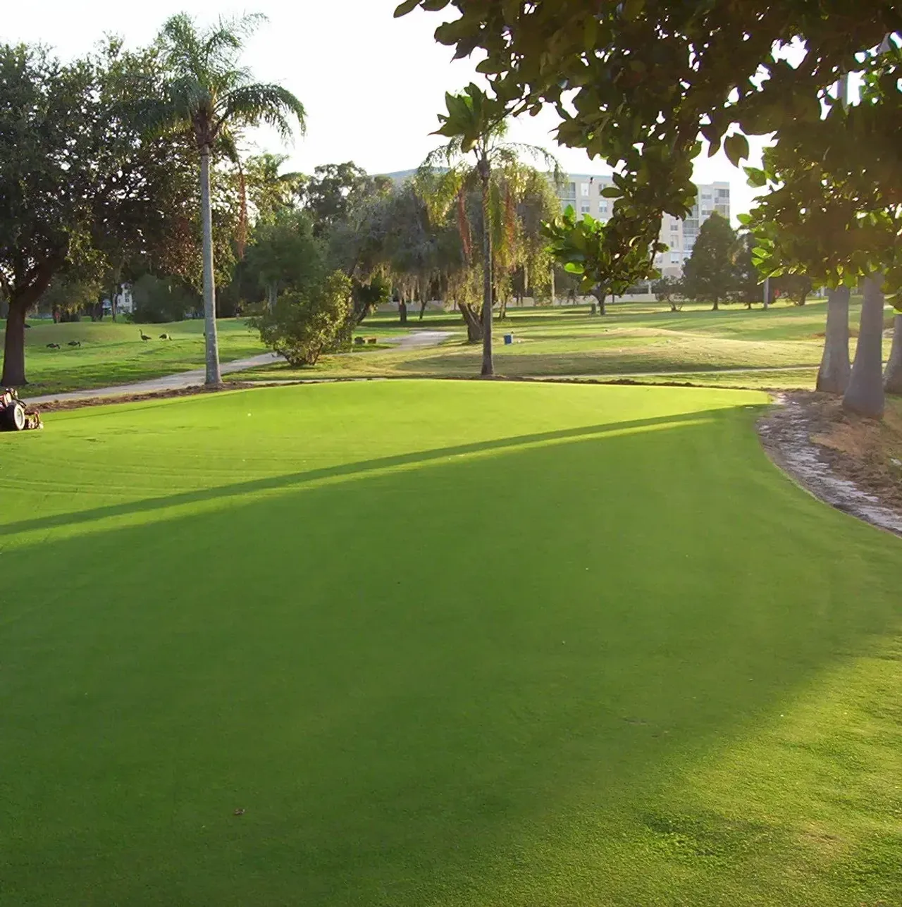 Pinebrook Ironwood Golf Course