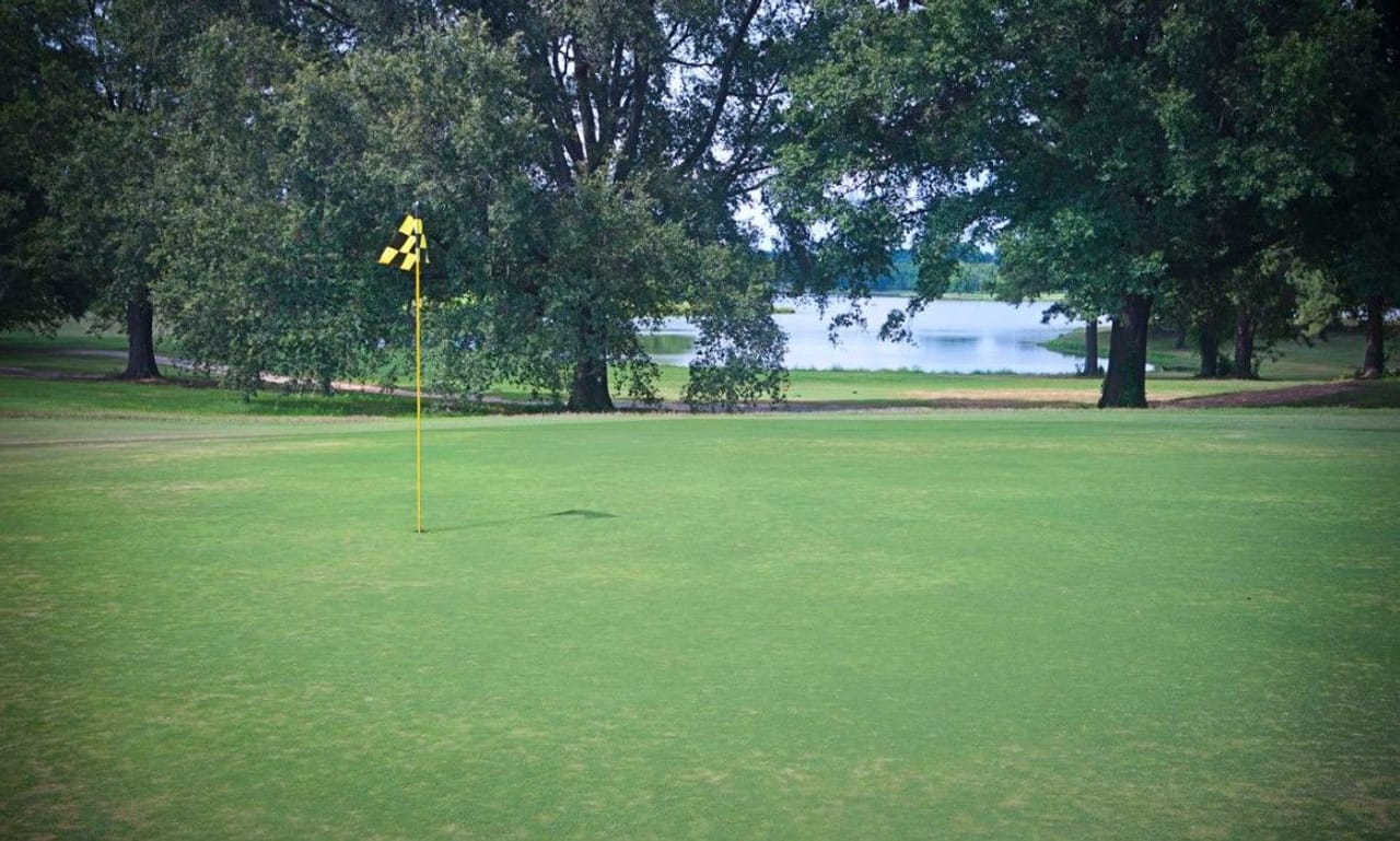 Orgill Park Golf Course