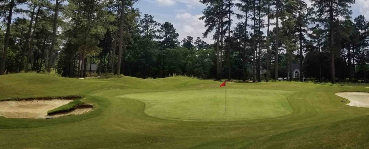 Bayonet at Puppy Creek