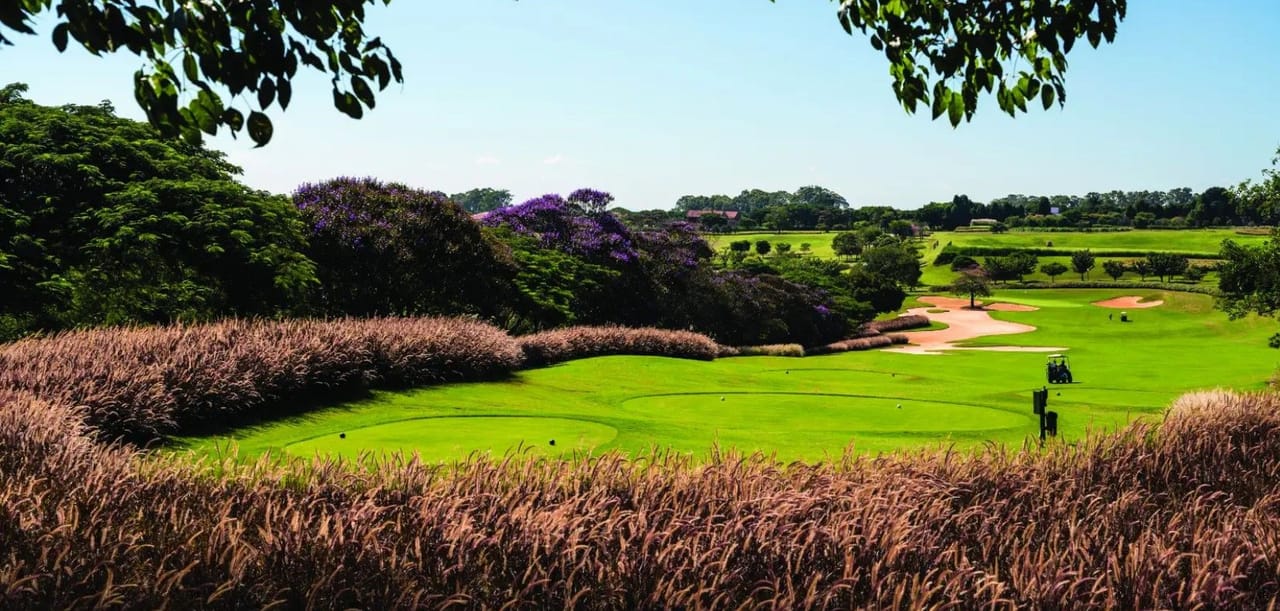 Fazenda Boa Vista (Arnold Palmer)