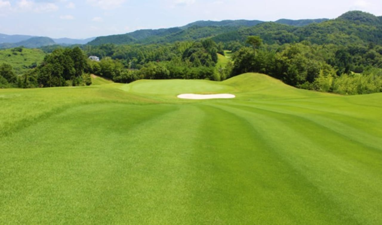 The Oaklet Golf Club