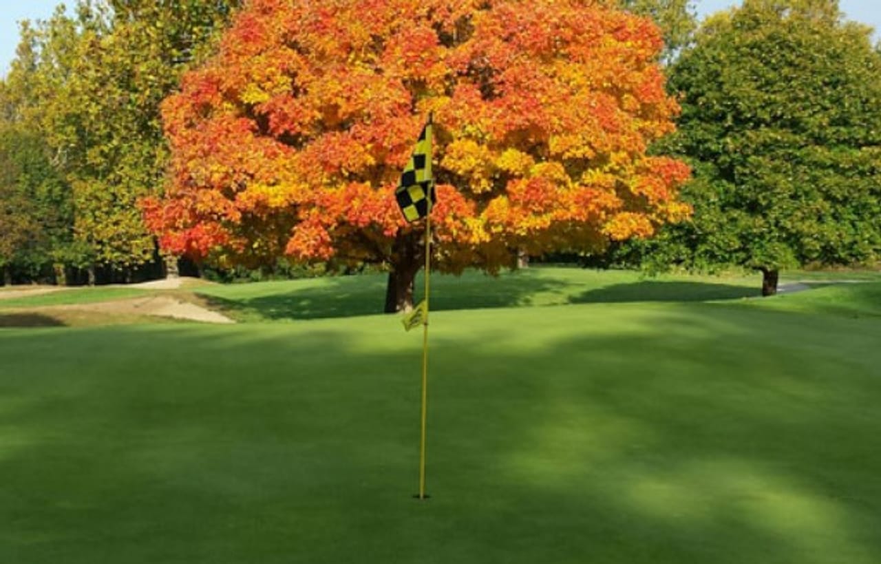 Lake of the Woods Golf Course (Par 3)