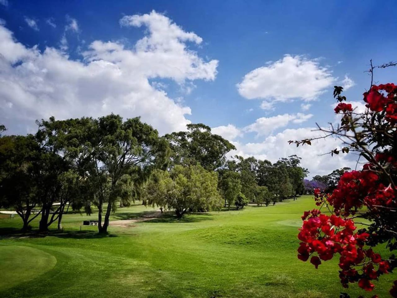 Wynnum Golf Club