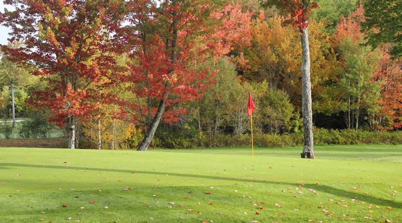 Sussex Golf & Curling Club