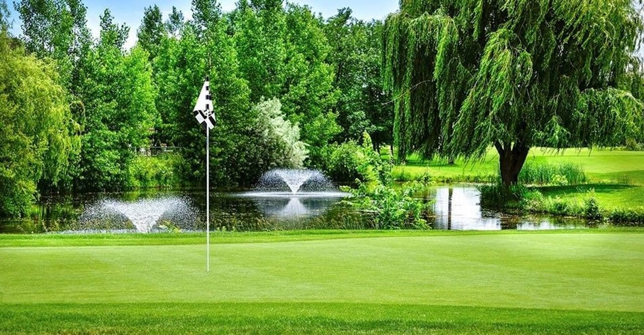 Le Parcours du Cerf (Faon)