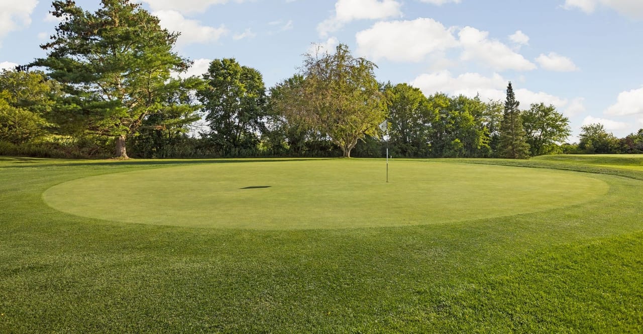 Golf Club of Alexandria