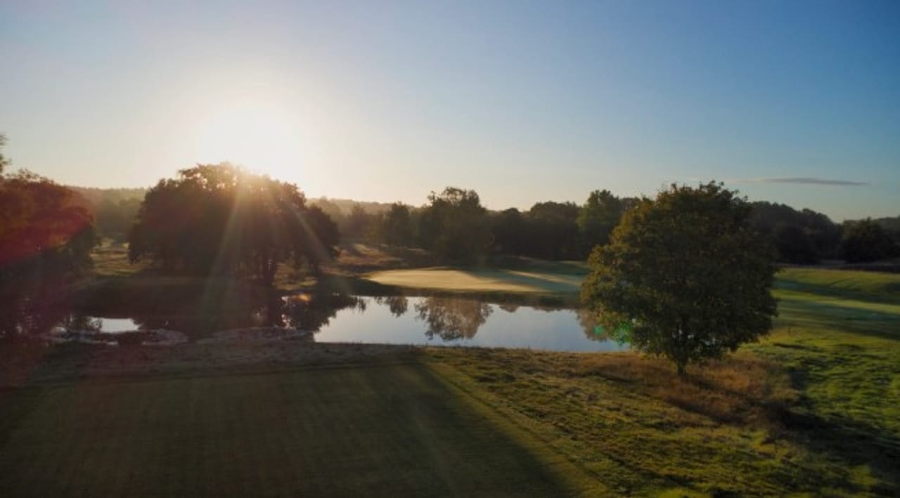 Mad Swans at South Downs