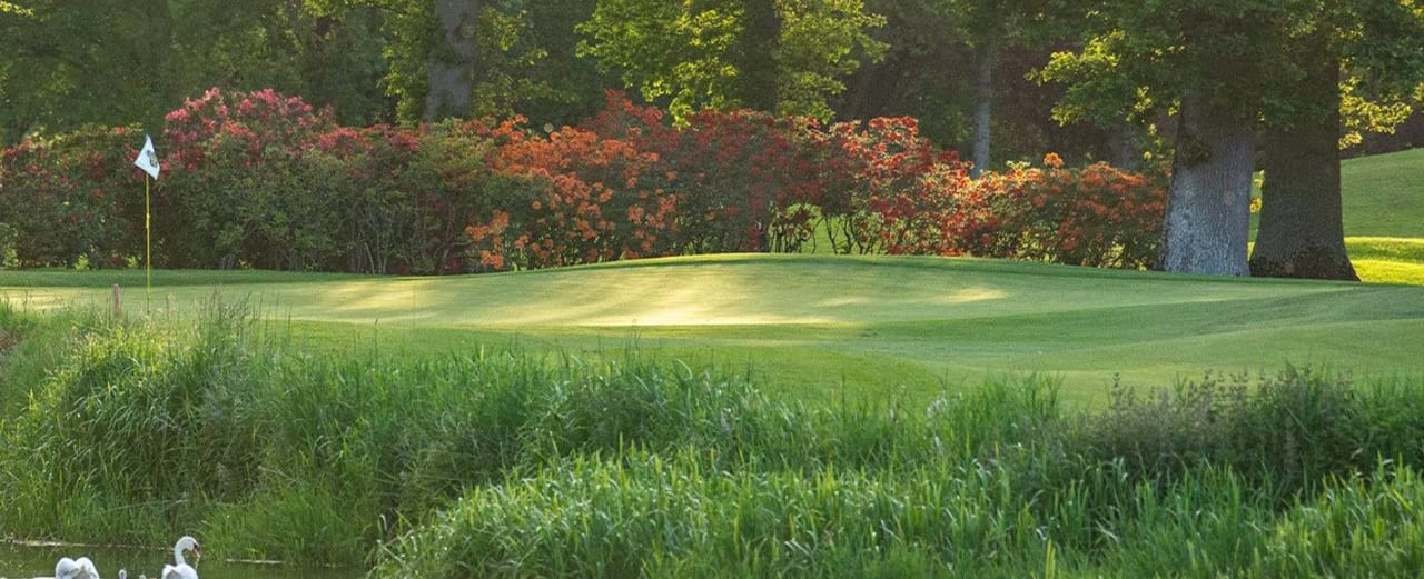 The K Club (Palmer North)