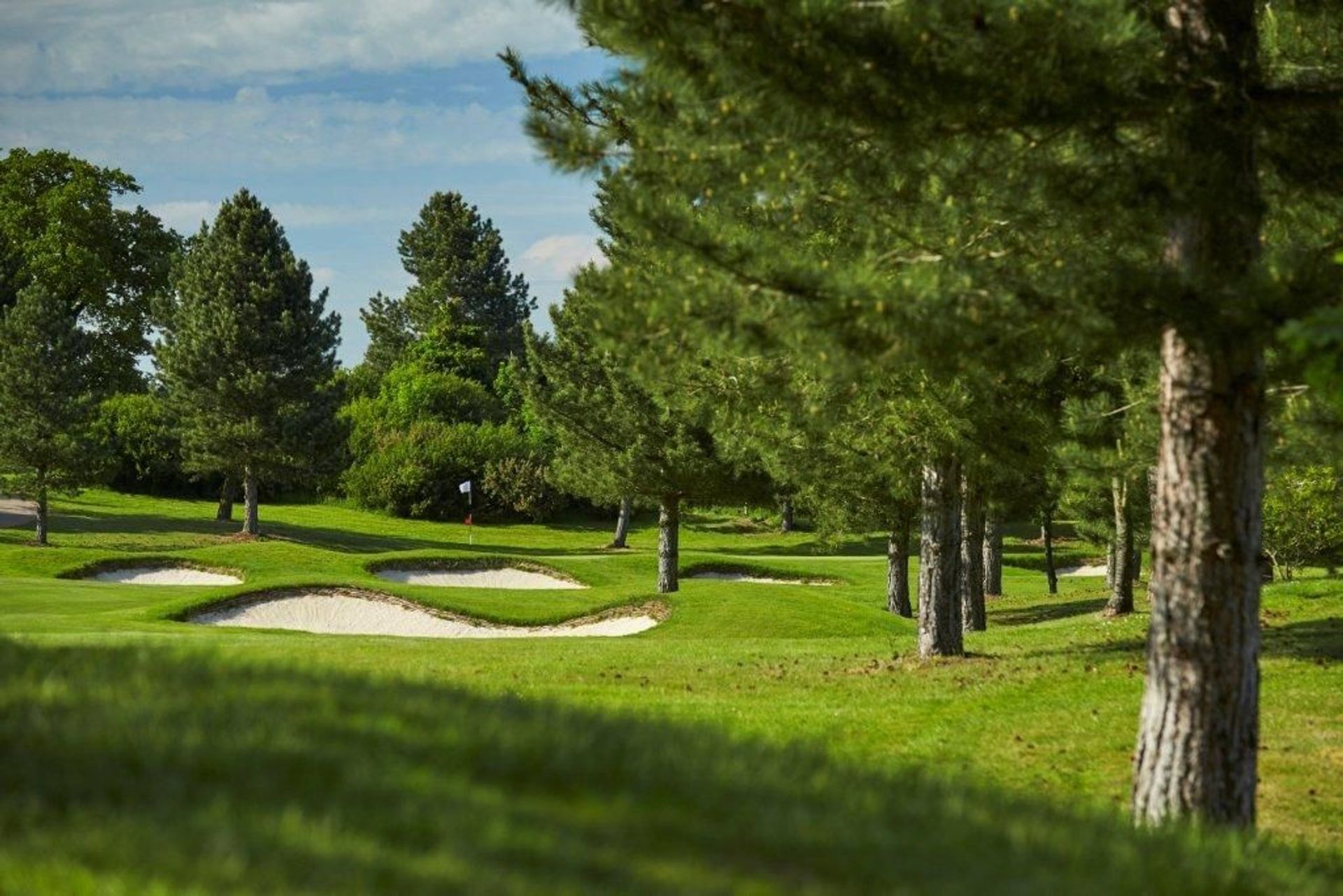 Essendon Country Club (Old)