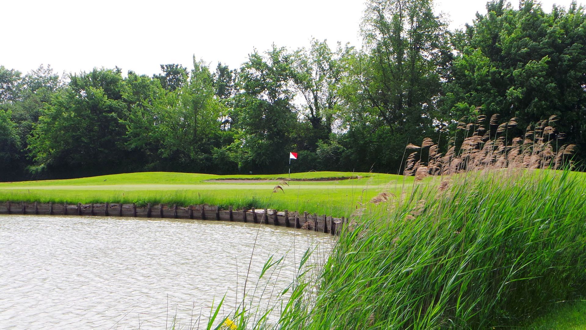 Cus Ferrara Golf