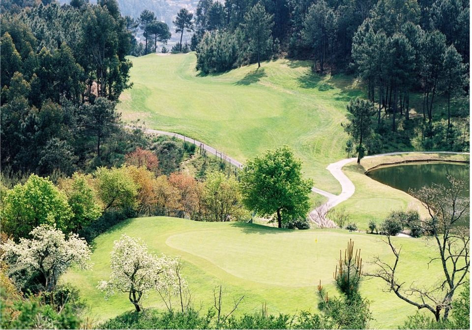 Golfe de Amarante